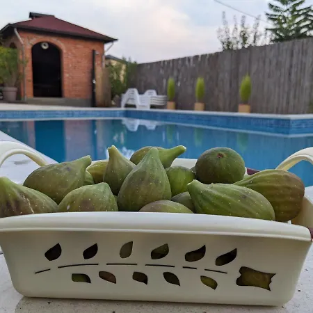 Wisteria Vila Derventa